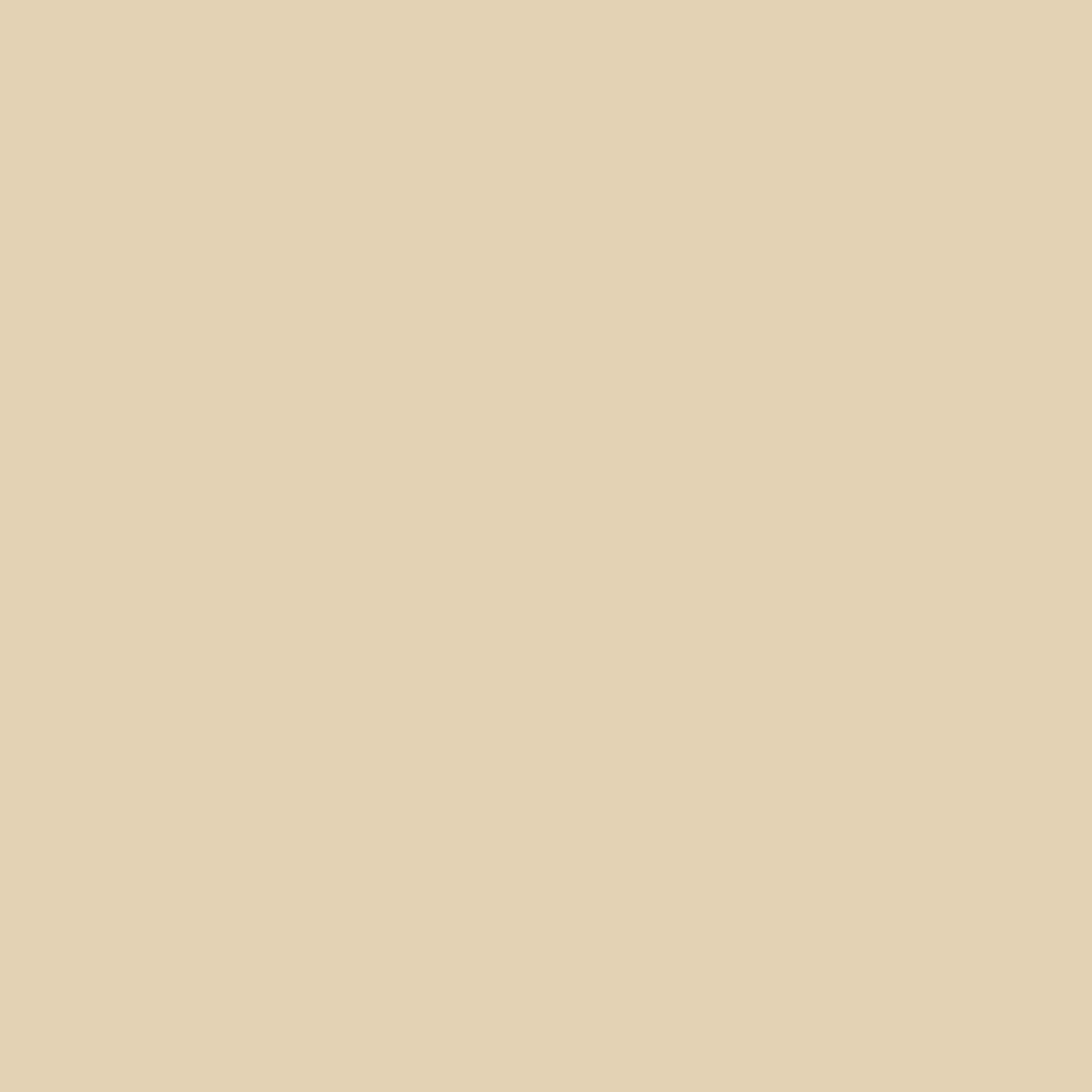 PPA 571 Beige 222 Thermoplastic Powder Coating - 20KG - Image 2