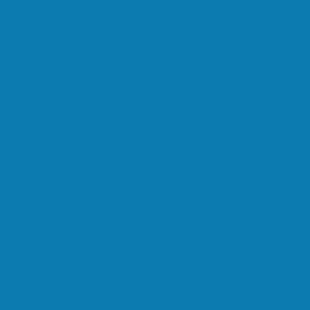 PPA 571 Blue 542 Thermoplastic Powder Coating - Image 2