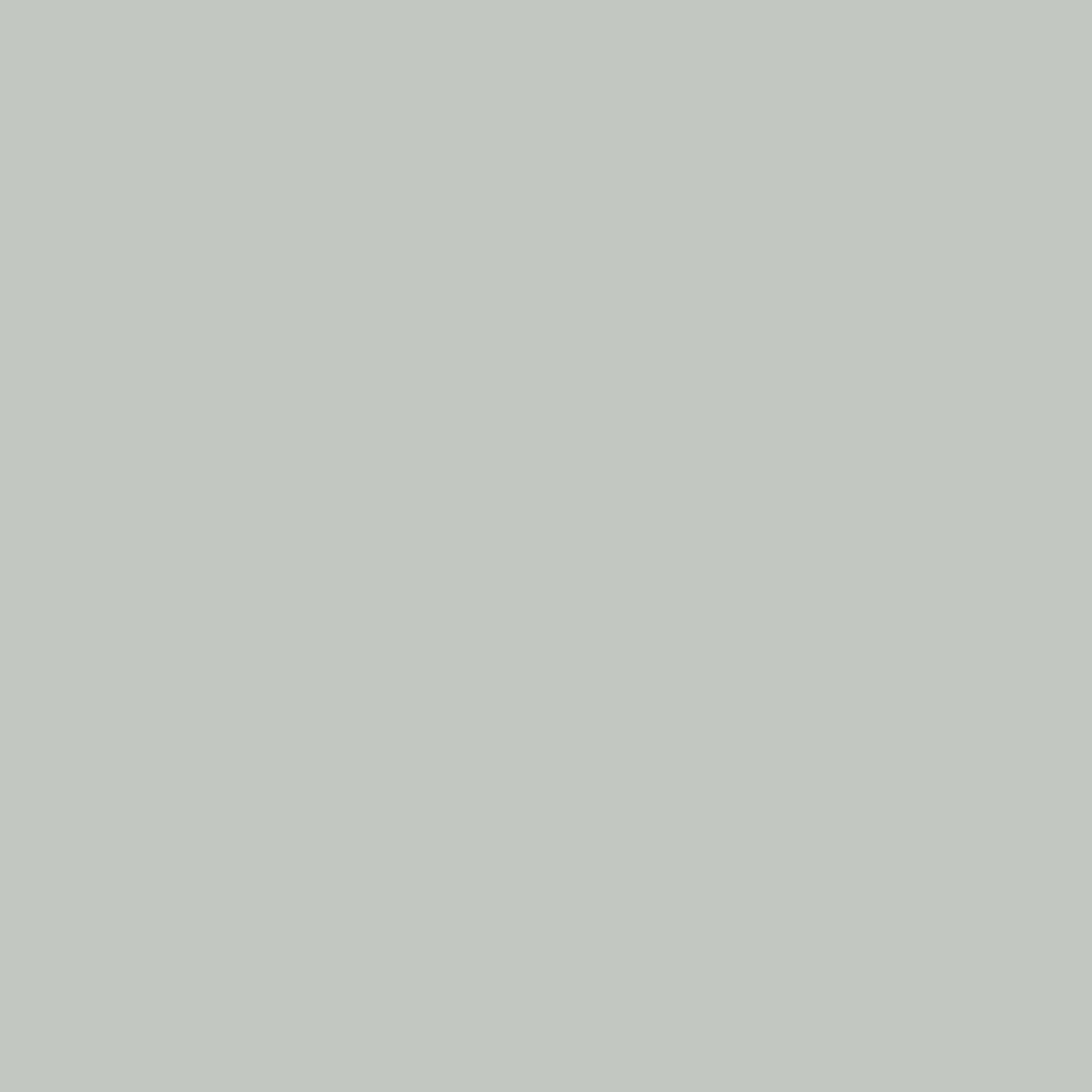PPA 571 Grey 613 Thermoplastic Powder Coating - 20KG - Image 2