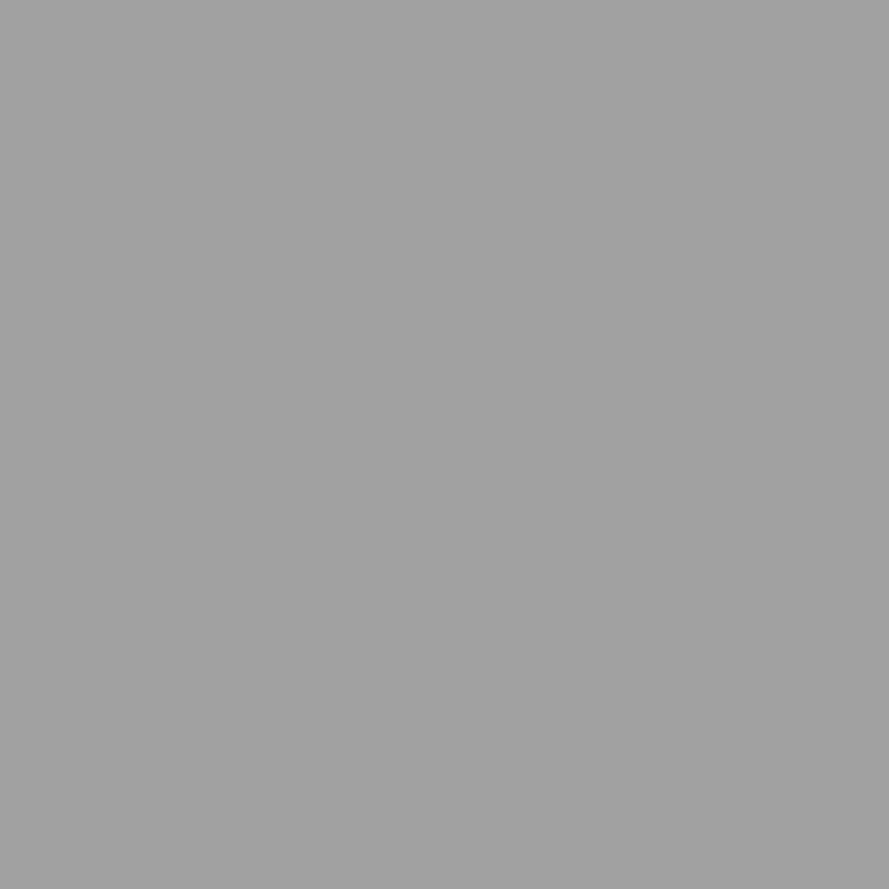 PPA 571 Silver Thermoplastic powder Coating - Image 2