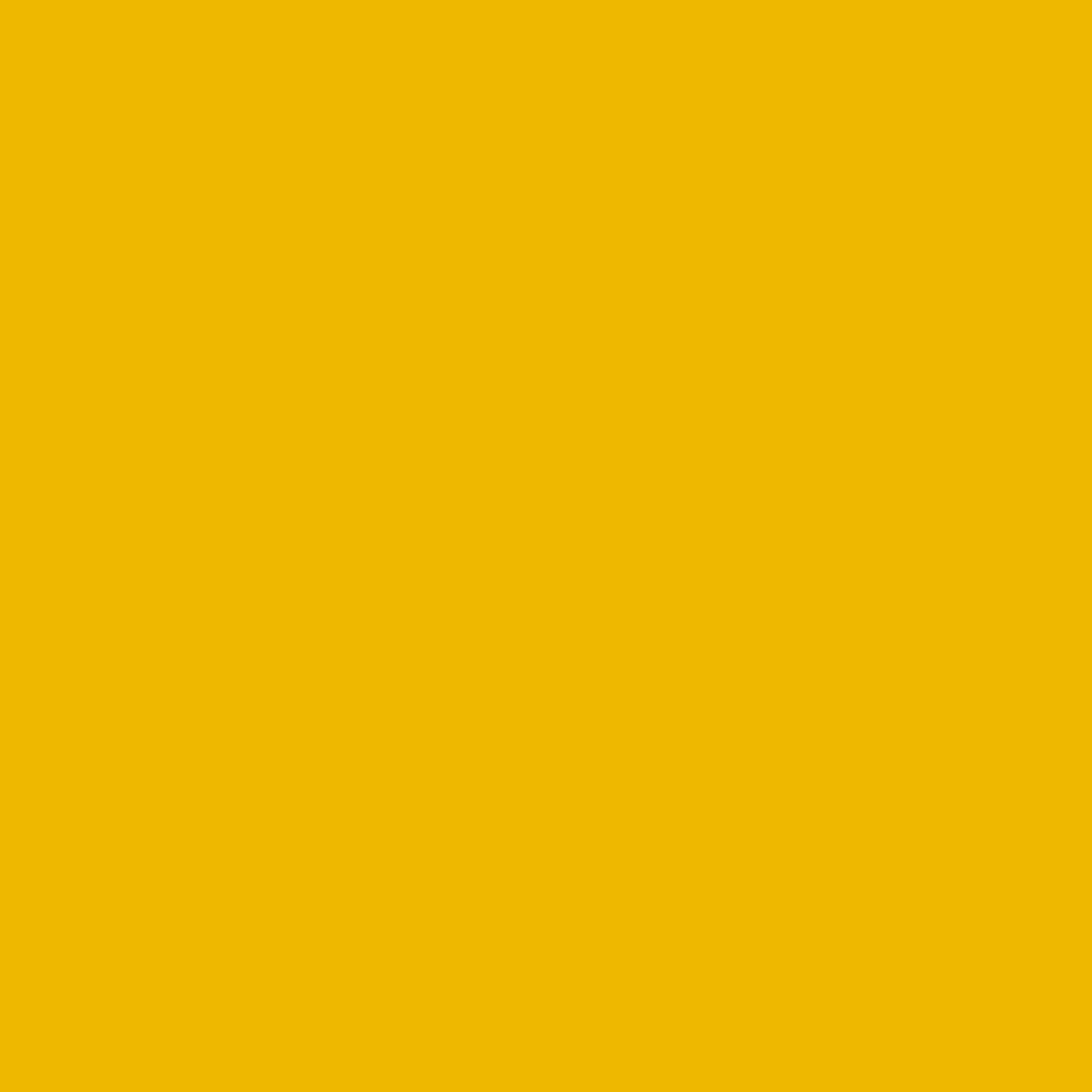 PPA 571 Yellow 344 Thermoplastic Powder Coating - 20KG - Image 2