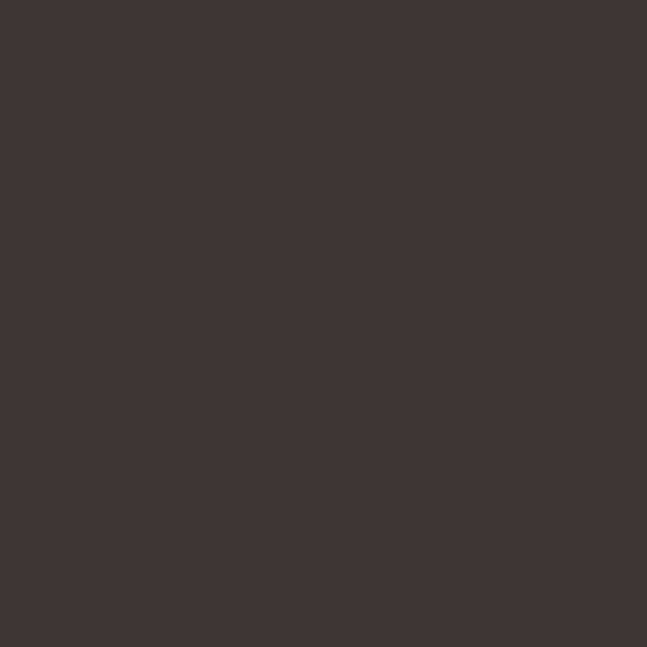 PPA 571 Brown 838 Thermoplastic Powder Coating - Image 2