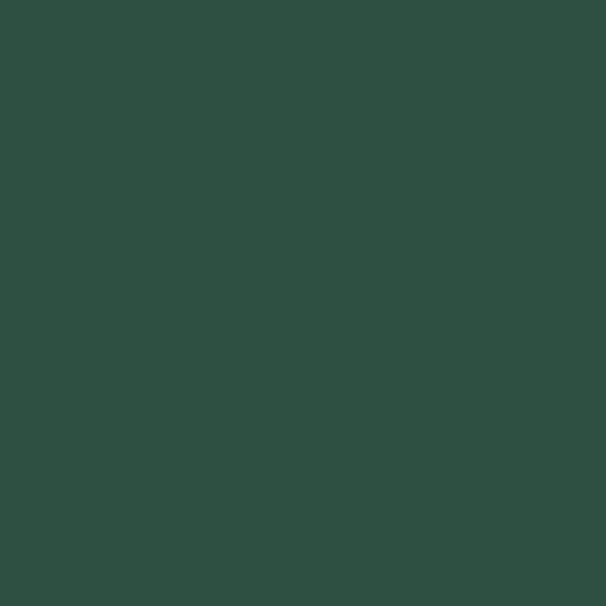 Fence Green Polyester Powder Coating - 20KG - Image 2